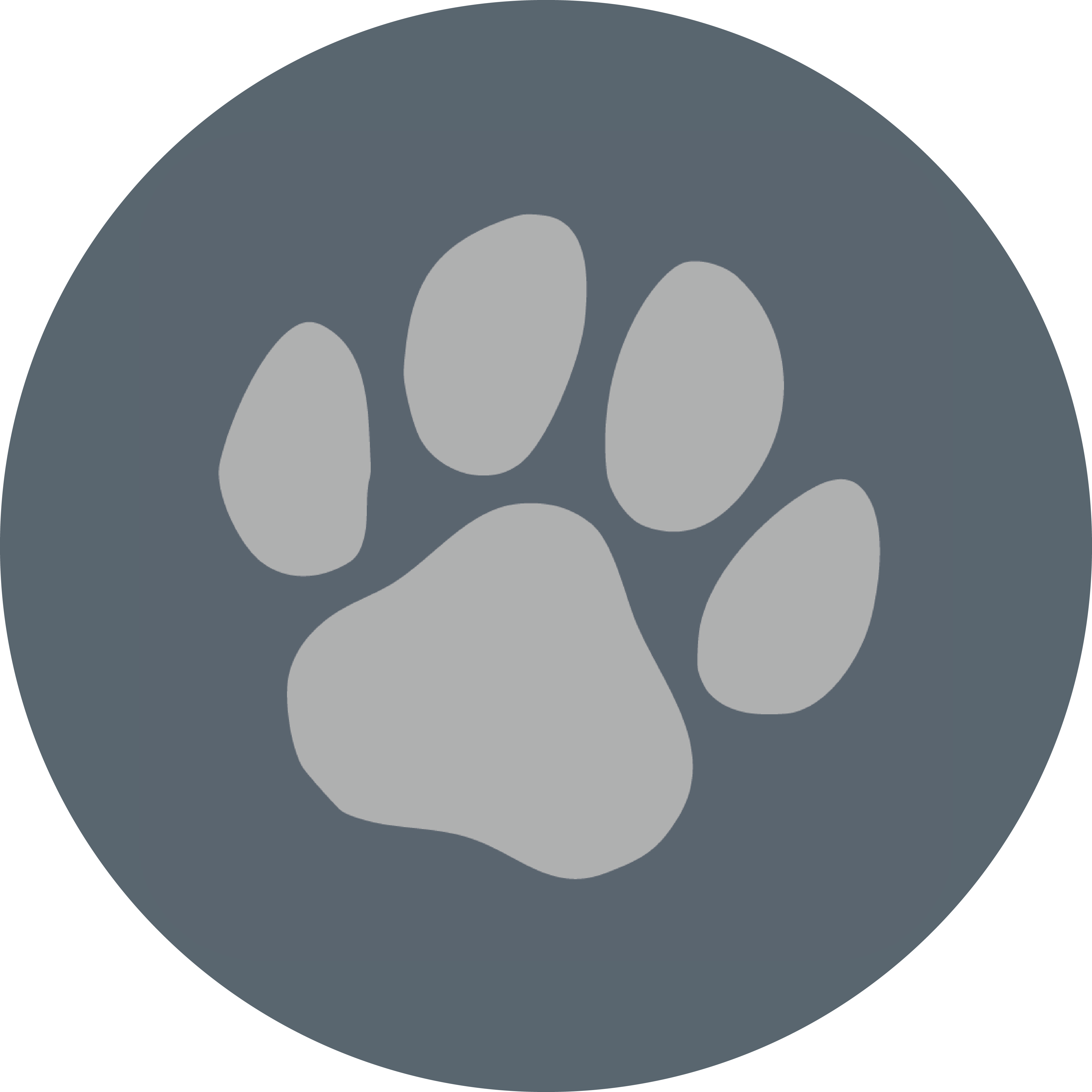 Animal Welfare Collection - The Grey Muzzle Organization