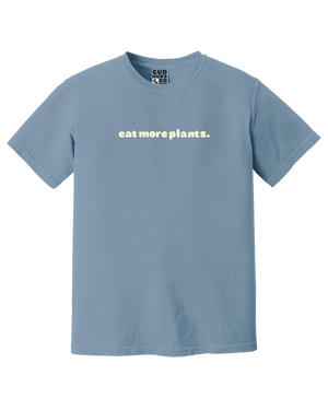 Slate Blue