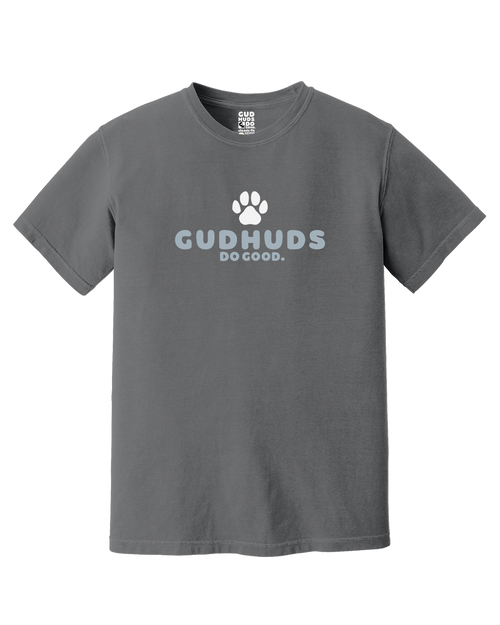 Pawsitivity Premium Tee